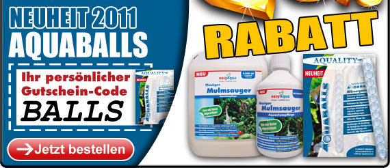 NUR NOCH 2 TAGE: Bis zum 31.12.2011 ganze 20% Rabatt auf AQUALITY AQUABALLS!