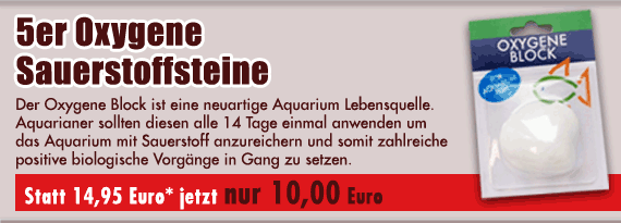 5er Oxygene Sauerstoffsteine jetzt nur 10,00 Euro