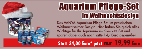 Aquarium Pflege-Set im Weihnachtsdesign jetzt nur 19,99 Euro