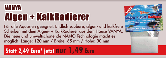 Algen + KalkRadierer jetzt nur noch 1,49 Euro