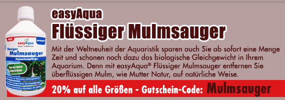 Flüssiger Mulmsauger jetzt mit 20% Preisvorteil