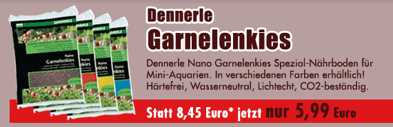 Dennerle Garnelenkies jetzt nur 5,99 Euro