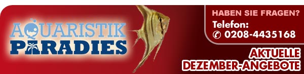 Aquaristik Paradies