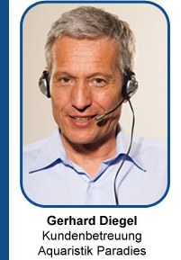 Gerhard Diegel Kundenbetreuung Aquaristik Paradies