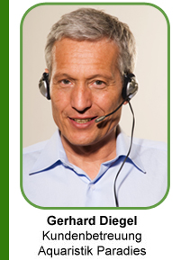 Gerhard Diegel Kundenbetreuung Aquaristik Paradies